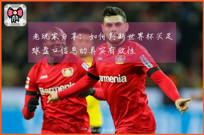 老玩家分享:如何判断世界杯买足球盘口信息的真实有效性