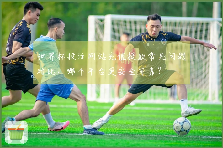 世界杯投注网站充值提款常见问题对比，哪个平台更安全可靠？